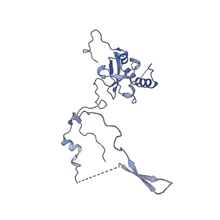 4134_5lzw_E_v1-3
Structure of the mammalian rescue complex with Pelota and Hbs1l assembled on a truncated mRNA.
