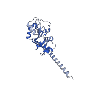 4134_5lzw_F_v1-3
Structure of the mammalian rescue complex with Pelota and Hbs1l assembled on a truncated mRNA.