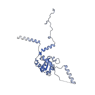 4134_5lzw_G_v1-3
Structure of the mammalian rescue complex with Pelota and Hbs1l assembled on a truncated mRNA.