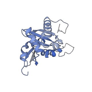 4134_5lzw_HH_v1-3
Structure of the mammalian rescue complex with Pelota and Hbs1l assembled on a truncated mRNA.