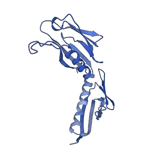 4134_5lzw_H_v1-3
Structure of the mammalian rescue complex with Pelota and Hbs1l assembled on a truncated mRNA.