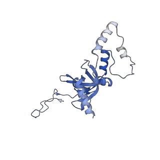 4134_5lzw_II_v1-3
Structure of the mammalian rescue complex with Pelota and Hbs1l assembled on a truncated mRNA.