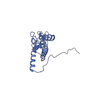 4134_5lzw_JJ_v1-3
Structure of the mammalian rescue complex with Pelota and Hbs1l assembled on a truncated mRNA.