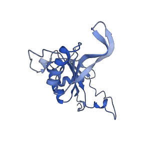 4134_5lzw_J_v1-3
Structure of the mammalian rescue complex with Pelota and Hbs1l assembled on a truncated mRNA.
