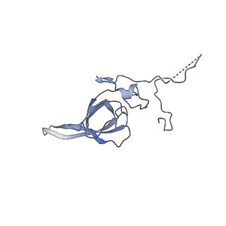 4134_5lzw_LL_v1-3
Structure of the mammalian rescue complex with Pelota and Hbs1l assembled on a truncated mRNA.