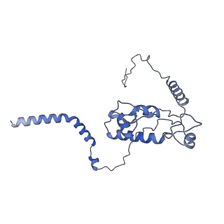 4134_5lzw_L_v1-3
Structure of the mammalian rescue complex with Pelota and Hbs1l assembled on a truncated mRNA.