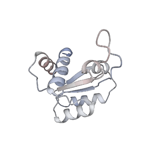 4134_5lzw_MM_v1-3
Structure of the mammalian rescue complex with Pelota and Hbs1l assembled on a truncated mRNA.