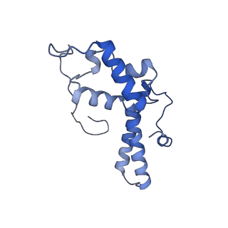 4134_5lzw_NN_v1-3
Structure of the mammalian rescue complex with Pelota and Hbs1l assembled on a truncated mRNA.