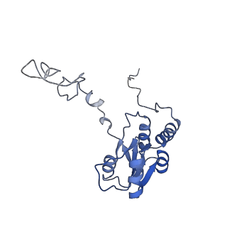 4134_5lzw_Q_v1-3
Structure of the mammalian rescue complex with Pelota and Hbs1l assembled on a truncated mRNA.