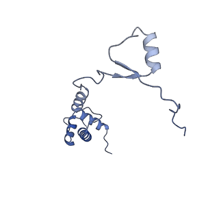 4134_5lzw_RR_v1-3
Structure of the mammalian rescue complex with Pelota and Hbs1l assembled on a truncated mRNA.