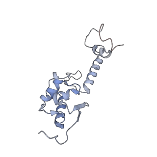 4134_5lzw_SS_v1-3
Structure of the mammalian rescue complex with Pelota and Hbs1l assembled on a truncated mRNA.