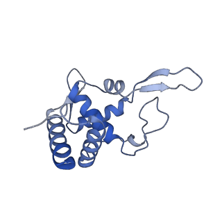 4134_5lzw_TT_v1-3
Structure of the mammalian rescue complex with Pelota and Hbs1l assembled on a truncated mRNA.