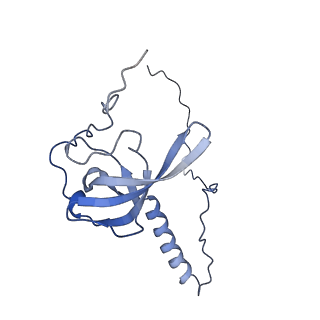 4134_5lzw_T_v1-3
Structure of the mammalian rescue complex with Pelota and Hbs1l assembled on a truncated mRNA.