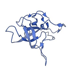 4134_5lzw_V_v1-3
Structure of the mammalian rescue complex with Pelota and Hbs1l assembled on a truncated mRNA.