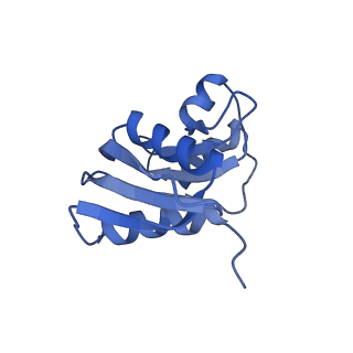 4134_5lzw_WW_v1-3
Structure of the mammalian rescue complex with Pelota and Hbs1l assembled on a truncated mRNA.