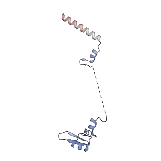 4134_5lzw_W_v1-3
Structure of the mammalian rescue complex with Pelota and Hbs1l assembled on a truncated mRNA.