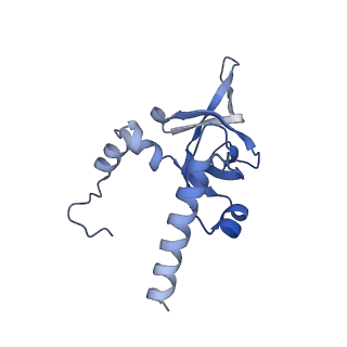 4134_5lzw_Y_v1-3
Structure of the mammalian rescue complex with Pelota and Hbs1l assembled on a truncated mRNA.