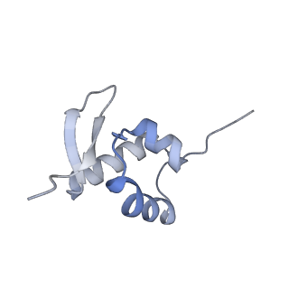 4134_5lzw_ZZ_v1-3
Structure of the mammalian rescue complex with Pelota and Hbs1l assembled on a truncated mRNA.