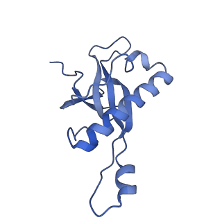 4134_5lzw_Z_v1-3
Structure of the mammalian rescue complex with Pelota and Hbs1l assembled on a truncated mRNA.