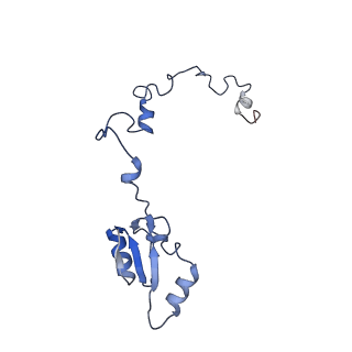 4134_5lzw_a_v1-3
Structure of the mammalian rescue complex with Pelota and Hbs1l assembled on a truncated mRNA.