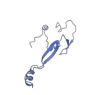 4134_5lzw_aa_v1-3
Structure of the mammalian rescue complex with Pelota and Hbs1l assembled on a truncated mRNA.