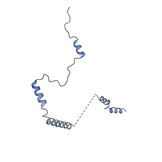 4134_5lzw_b_v1-3
Structure of the mammalian rescue complex with Pelota and Hbs1l assembled on a truncated mRNA.