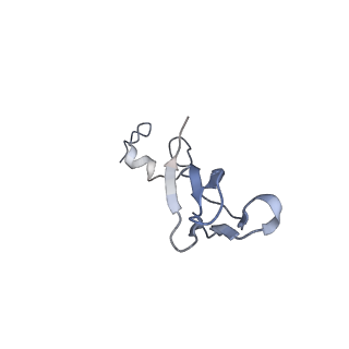 4134_5lzw_bb_v1-3
Structure of the mammalian rescue complex with Pelota and Hbs1l assembled on a truncated mRNA.