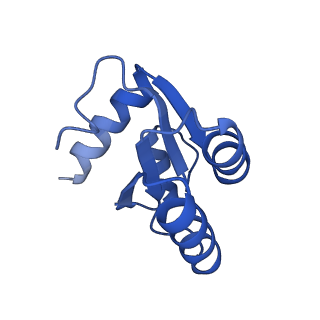4134_5lzw_c_v1-3
Structure of the mammalian rescue complex with Pelota and Hbs1l assembled on a truncated mRNA.