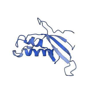 4134_5lzw_d_v1-3
Structure of the mammalian rescue complex with Pelota and Hbs1l assembled on a truncated mRNA.