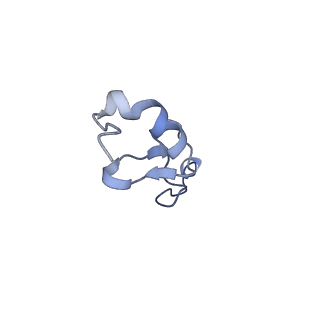 4134_5lzw_dd_v1-3
Structure of the mammalian rescue complex with Pelota and Hbs1l assembled on a truncated mRNA.