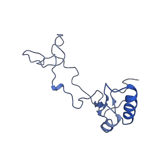 4134_5lzw_e_v1-3
Structure of the mammalian rescue complex with Pelota and Hbs1l assembled on a truncated mRNA.