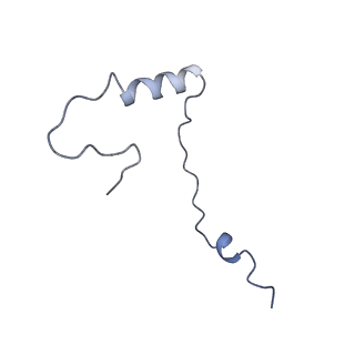 4134_5lzw_ee_v1-3
Structure of the mammalian rescue complex with Pelota and Hbs1l assembled on a truncated mRNA.