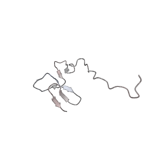 4134_5lzw_ff_v1-3
Structure of the mammalian rescue complex with Pelota and Hbs1l assembled on a truncated mRNA.