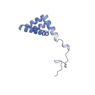 4134_5lzw_i_v1-3
Structure of the mammalian rescue complex with Pelota and Hbs1l assembled on a truncated mRNA.