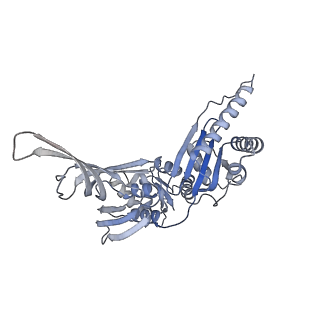 4134_5lzw_ii_v1-3
Structure of the mammalian rescue complex with Pelota and Hbs1l assembled on a truncated mRNA.