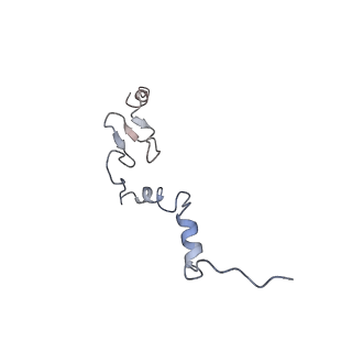 4134_5lzw_j_v1-3
Structure of the mammalian rescue complex with Pelota and Hbs1l assembled on a truncated mRNA.
