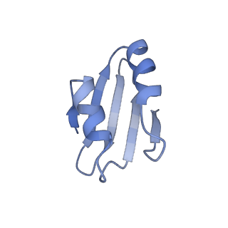 4134_5lzw_k_v1-3
Structure of the mammalian rescue complex with Pelota and Hbs1l assembled on a truncated mRNA.