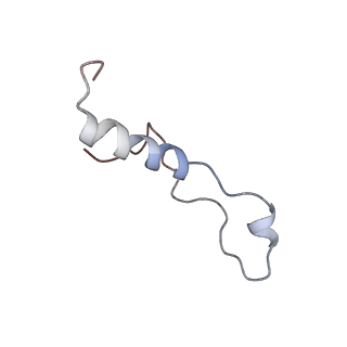 4134_5lzw_l_v1-3
Structure of the mammalian rescue complex with Pelota and Hbs1l assembled on a truncated mRNA.