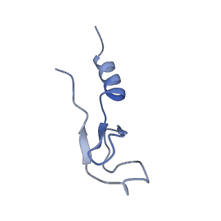 4134_5lzw_m_v1-3
Structure of the mammalian rescue complex with Pelota and Hbs1l assembled on a truncated mRNA.