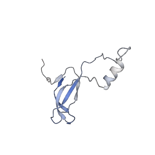 4134_5lzw_o_v1-3
Structure of the mammalian rescue complex with Pelota and Hbs1l assembled on a truncated mRNA.