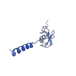 4134_5lzw_p_v1-3
Structure of the mammalian rescue complex with Pelota and Hbs1l assembled on a truncated mRNA.