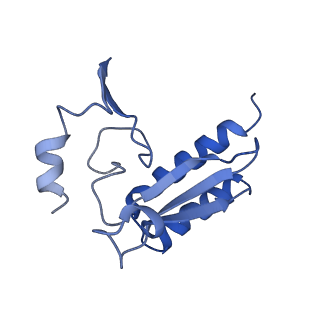 4134_5lzw_r_v1-3
Structure of the mammalian rescue complex with Pelota and Hbs1l assembled on a truncated mRNA.