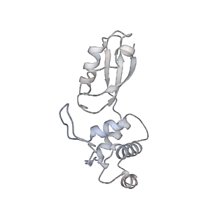 4134_5lzw_t_v1-3
Structure of the mammalian rescue complex with Pelota and Hbs1l assembled on a truncated mRNA.