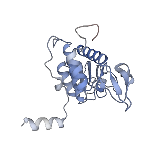 4136_5lzy_AA_v1-0
Structure of the mammalian rescue complex with Pelota and Hbs1l assembled on a polyadenylated mRNA.