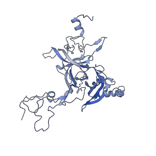 4136_5lzy_B_v1-0
Structure of the mammalian rescue complex with Pelota and Hbs1l assembled on a polyadenylated mRNA.