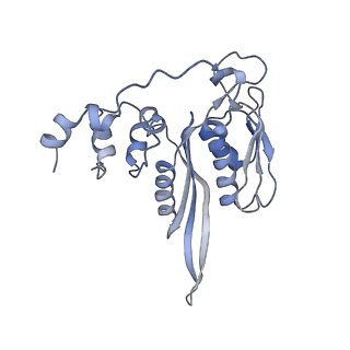 4136_5lzy_CC_v1-0
Structure of the mammalian rescue complex with Pelota and Hbs1l assembled on a polyadenylated mRNA.