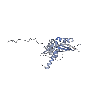 4136_5lzy_DD_v1-0
Structure of the mammalian rescue complex with Pelota and Hbs1l assembled on a polyadenylated mRNA.