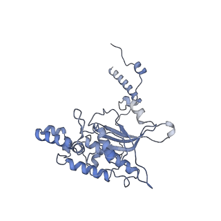 4136_5lzy_D_v1-0
Structure of the mammalian rescue complex with Pelota and Hbs1l assembled on a polyadenylated mRNA.