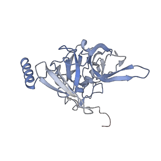 4136_5lzy_EE_v1-0
Structure of the mammalian rescue complex with Pelota and Hbs1l assembled on a polyadenylated mRNA.