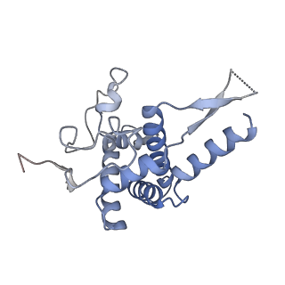 4136_5lzy_FF_v1-0
Structure of the mammalian rescue complex with Pelota and Hbs1l assembled on a polyadenylated mRNA.